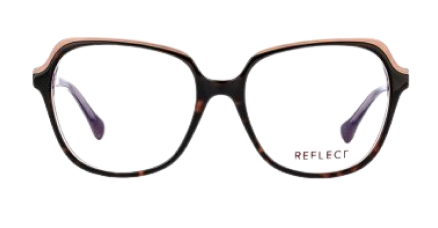 Prunelle Opticien Bordeaux Image 3 Prunelle Opticien Bordeaux Image 3